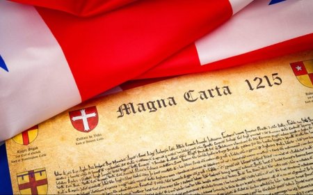 Article 61 Made Simple