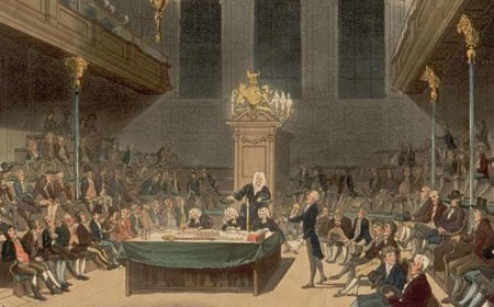 Five Steps to Understand the Constitution