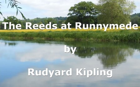 The Reeds at Runnymede