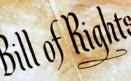 Commentary on Relevant Legal Developments Since 2001 | 2